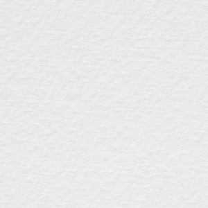 Tintoretto Gesso