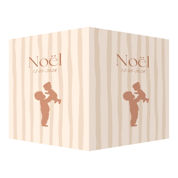Silhouet grote broer met baby