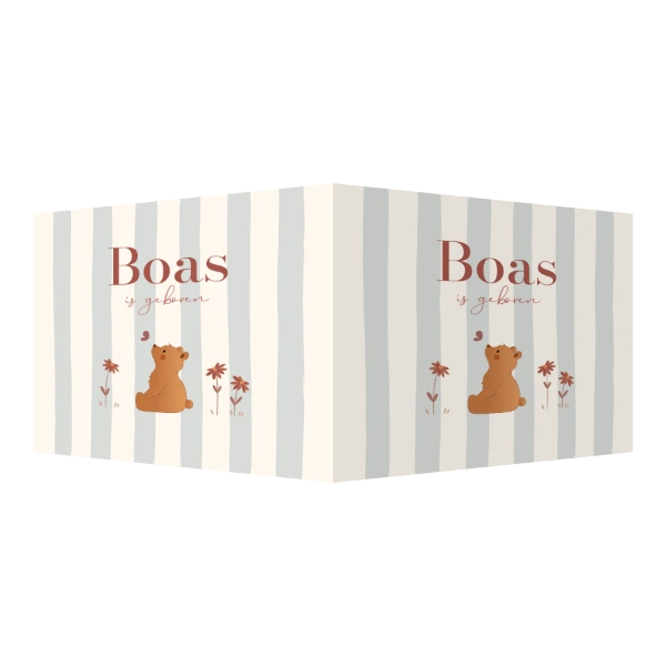 Vierkant raambord Beertje met vlinder en streepjes