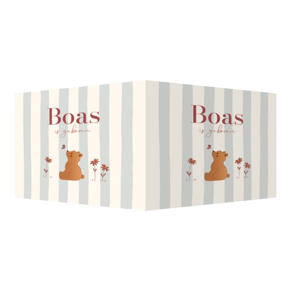 Vierkant raambord Beertje met vlinder en streepjes