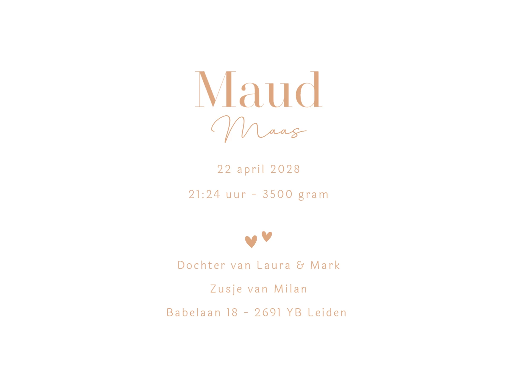 Broertje met slapende baby - Terug