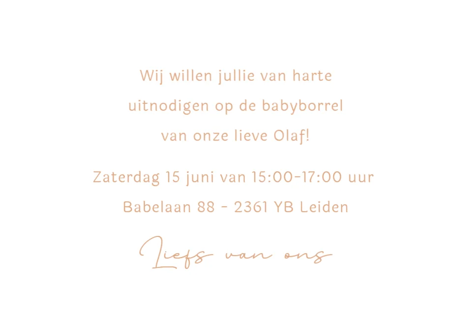 Broertje met slapende baby - Terug