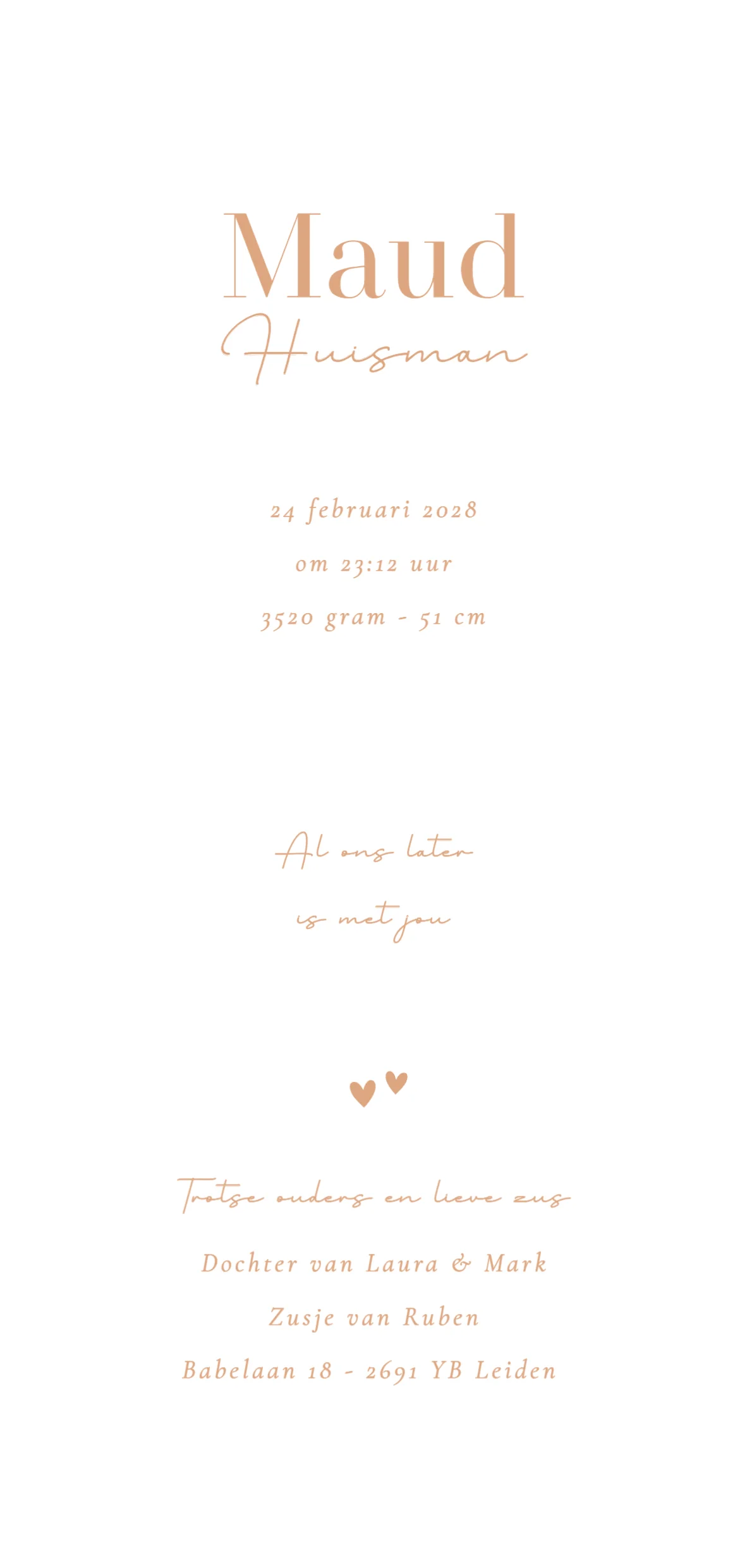 Broertje met slapende baby - Terug