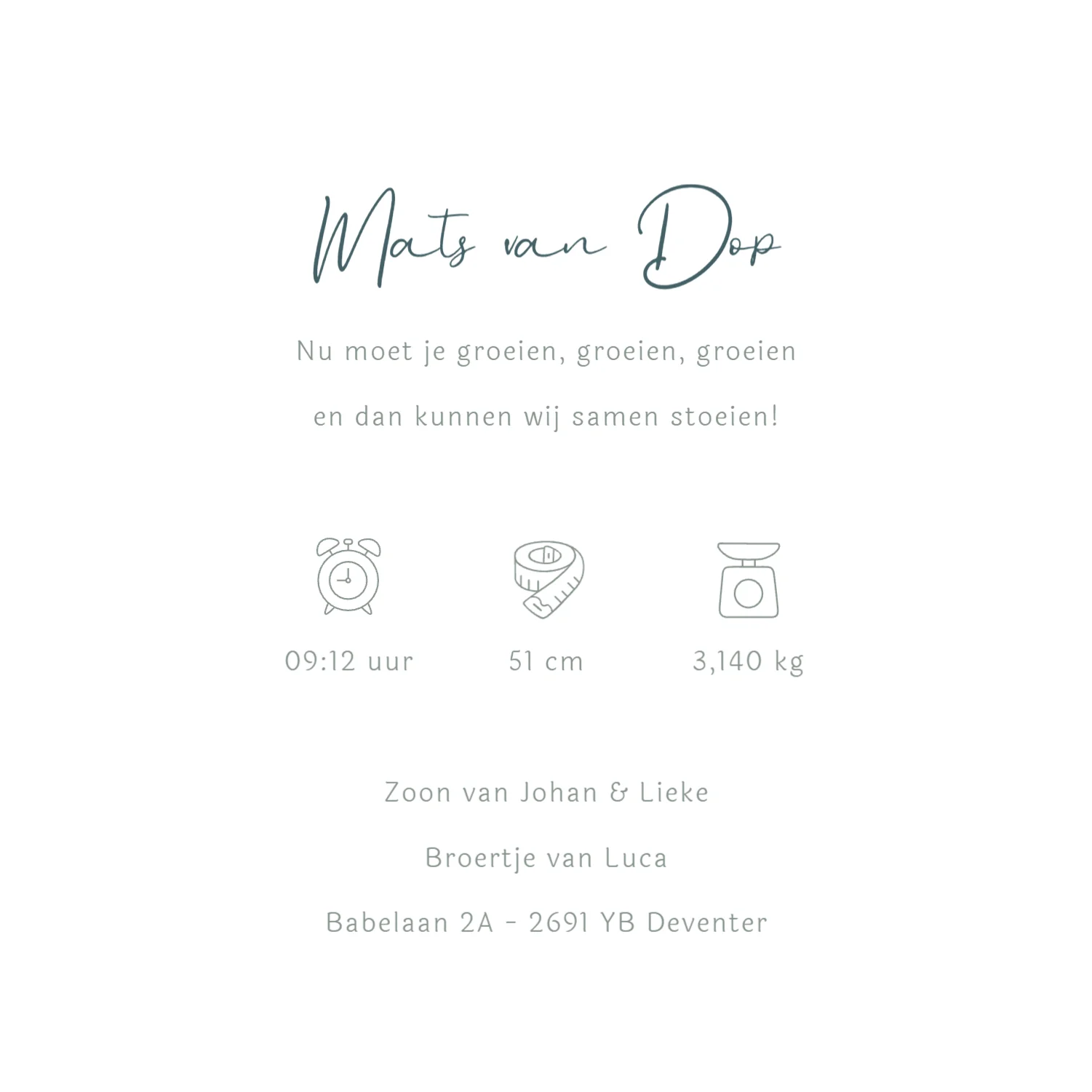 Broertjes met bolderkar - Terug