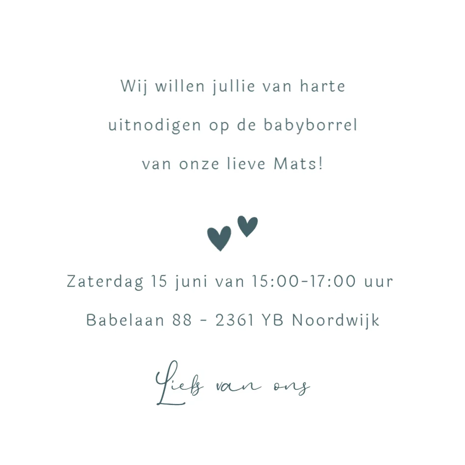 Broertjes met bolderkar - Terug