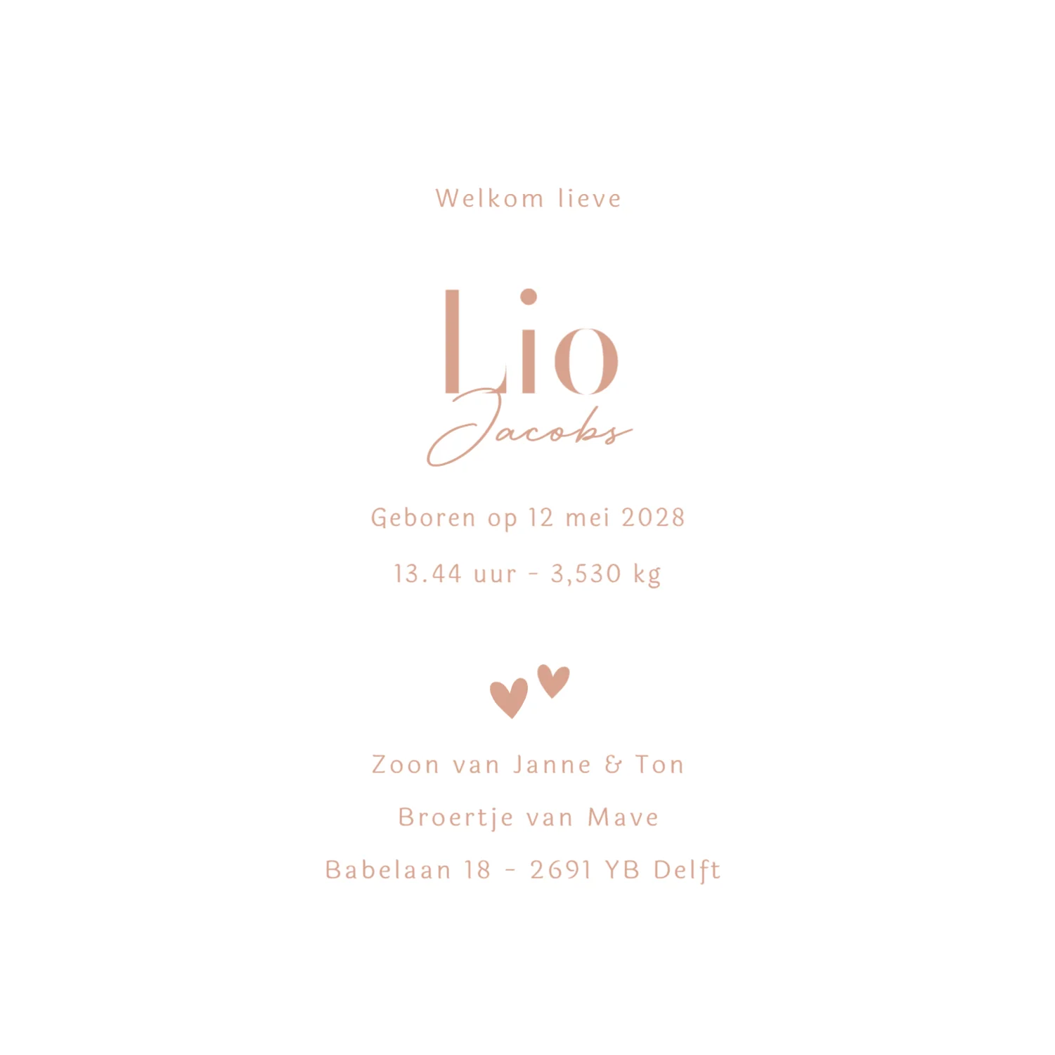 Silhouet grote zus met baby - Terug