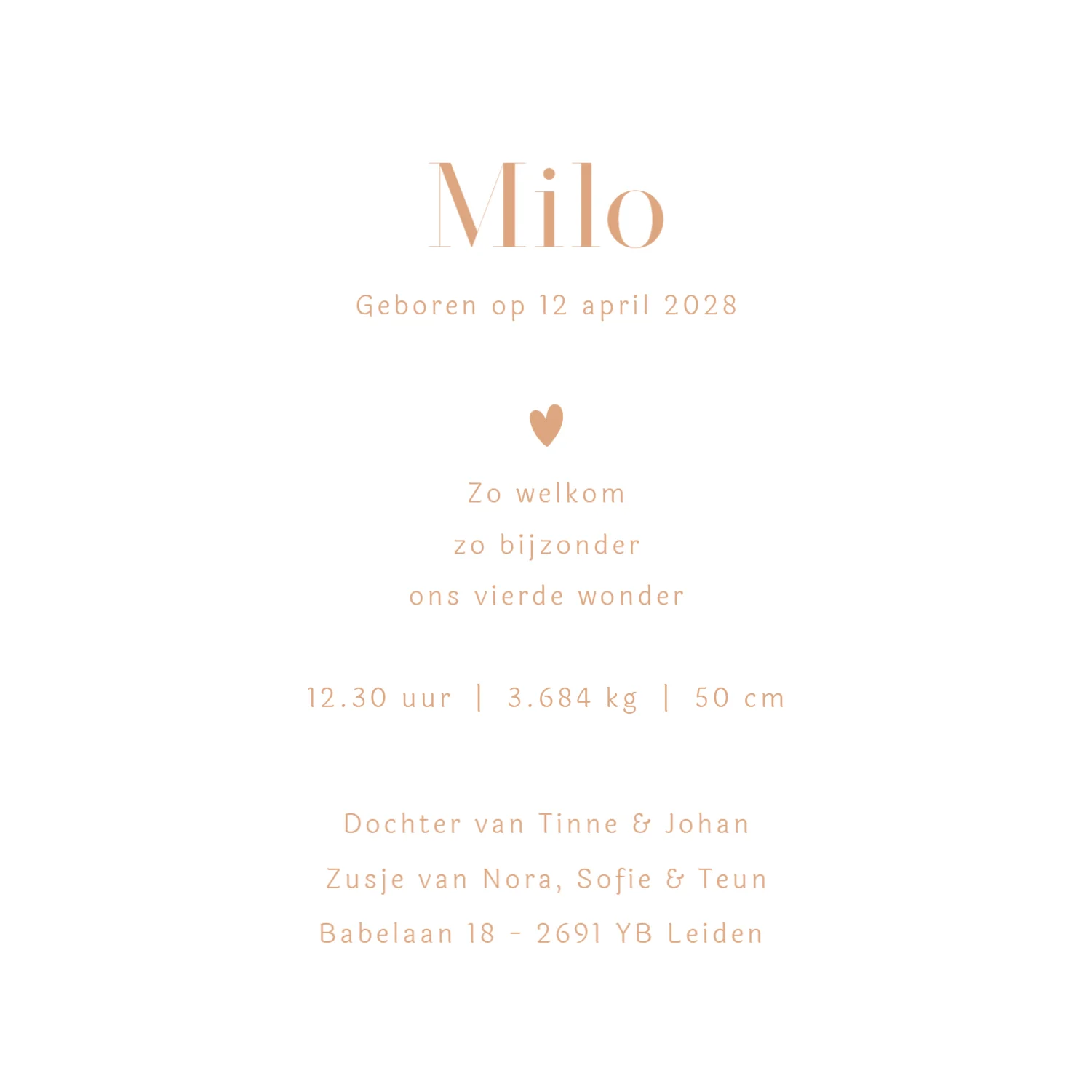 Vierde kindje - Terug