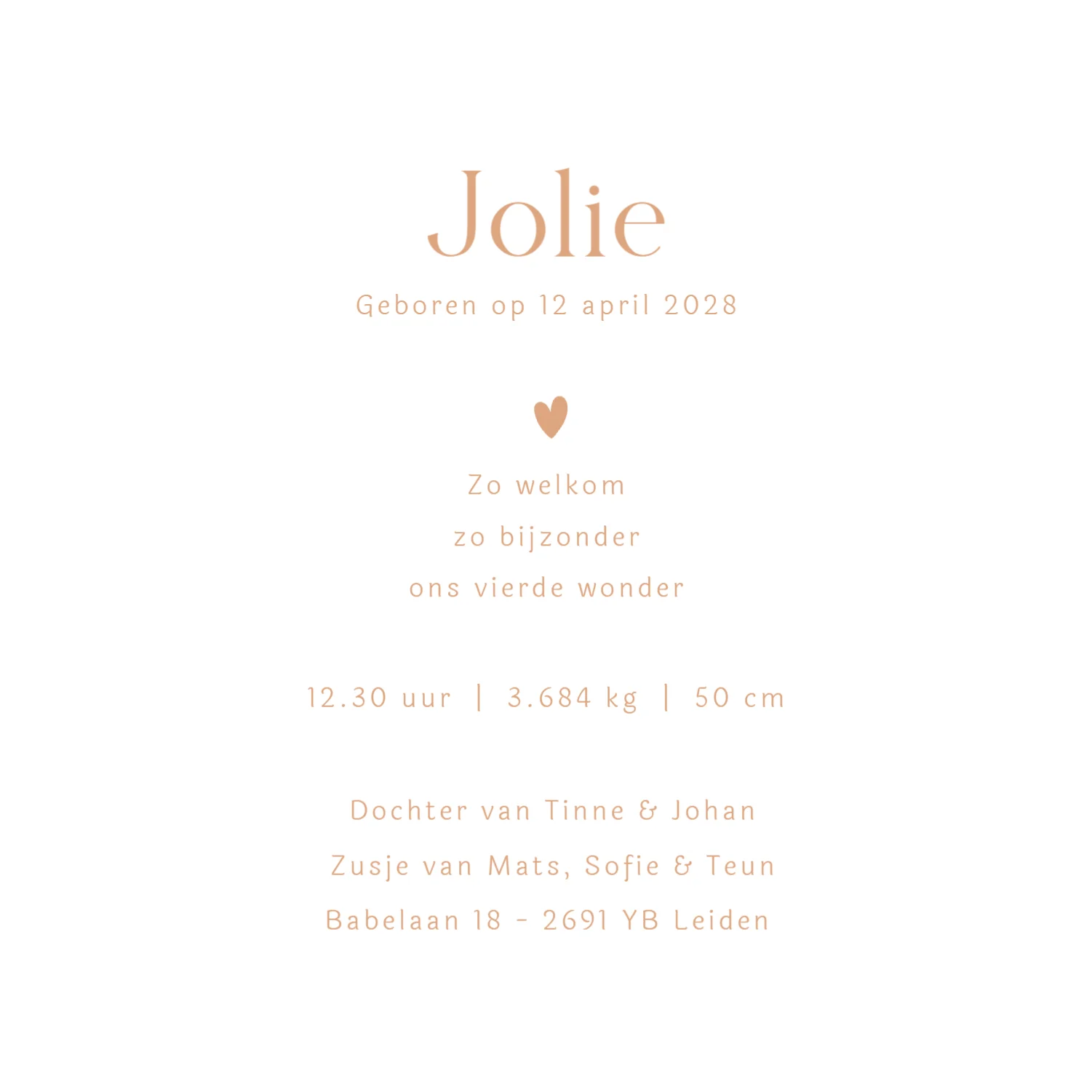 Lijntekening voor een vierde kindje - Terug