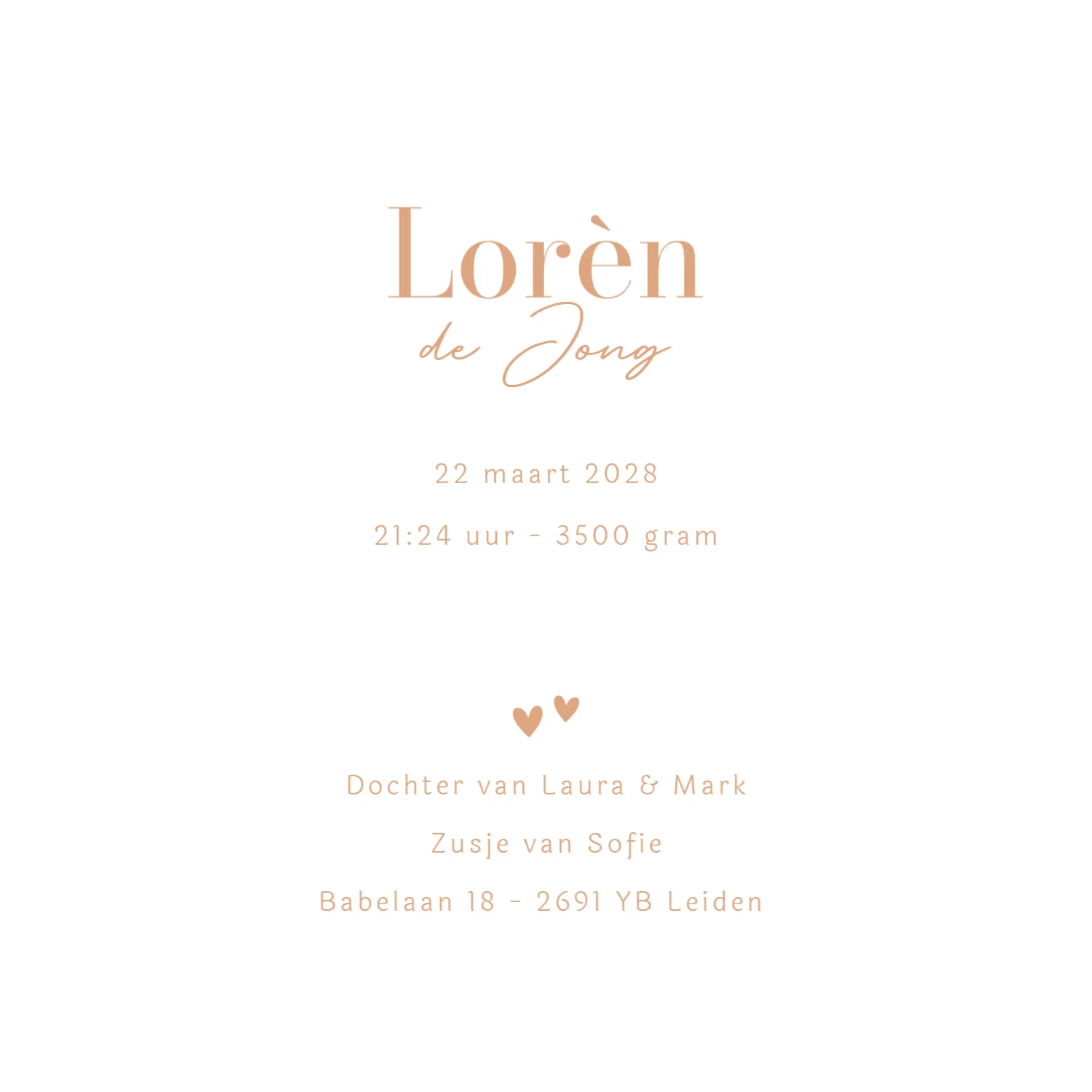 Grote zus met baby - Terug