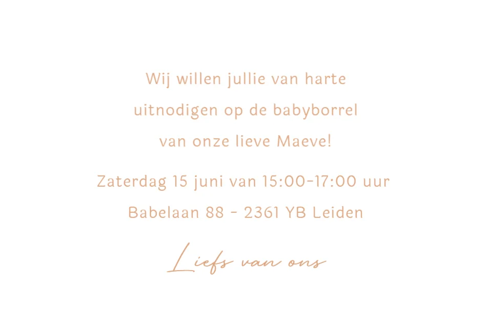 Jongetje met baby - Terug