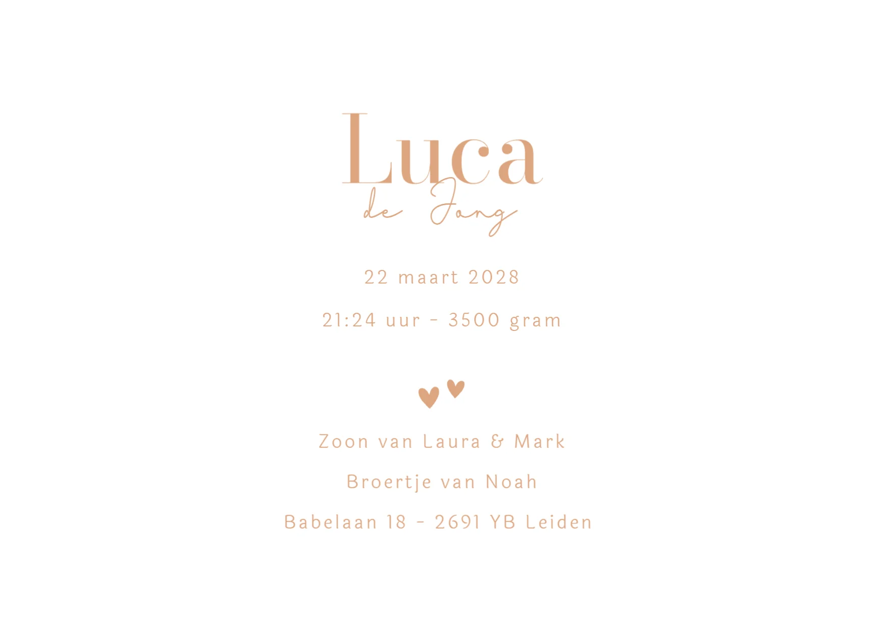 Grote broer met baby - Terug