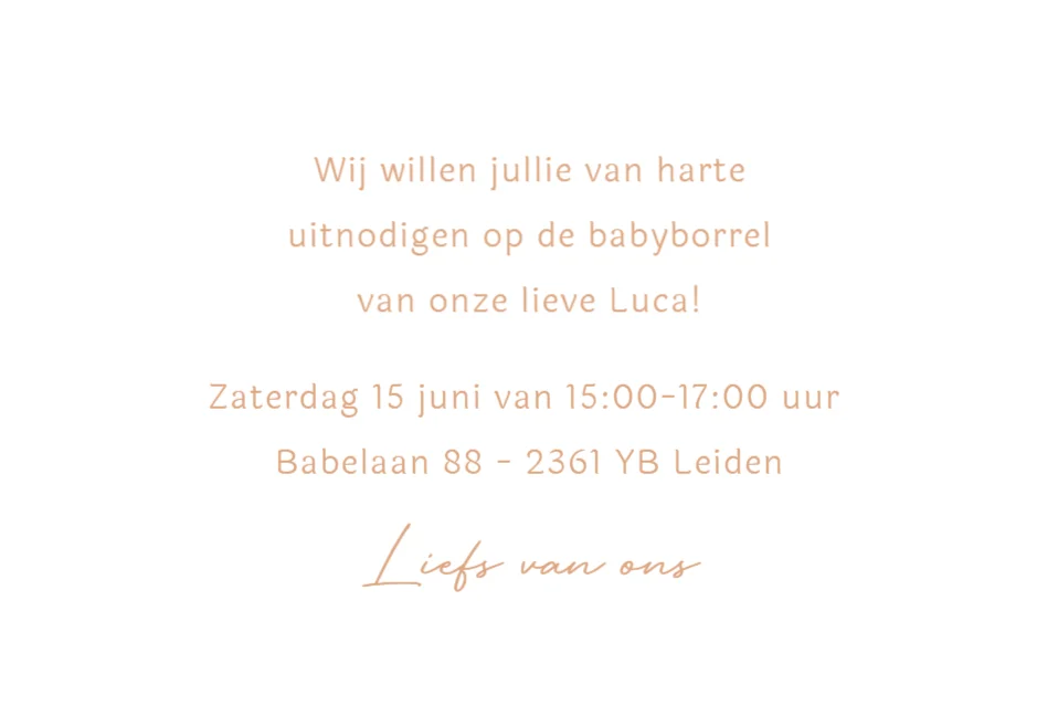 Grote broer met baby - Terug