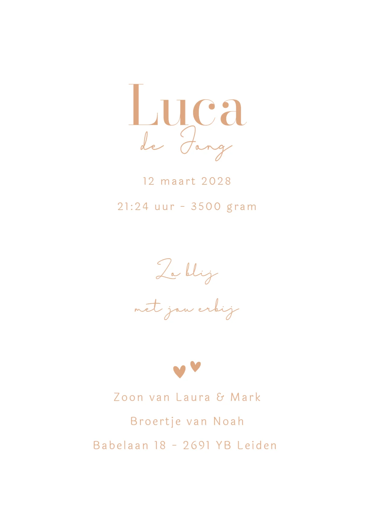 Grote broer met baby - Terug