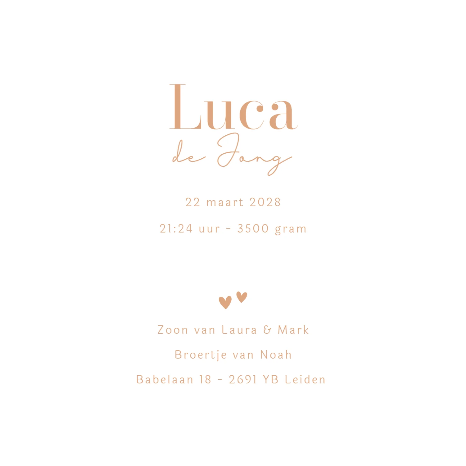 Grote broer met baby - Terug