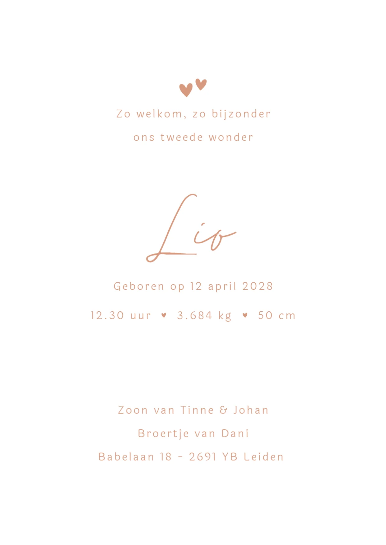 Lijntekening met grote broer - Terug