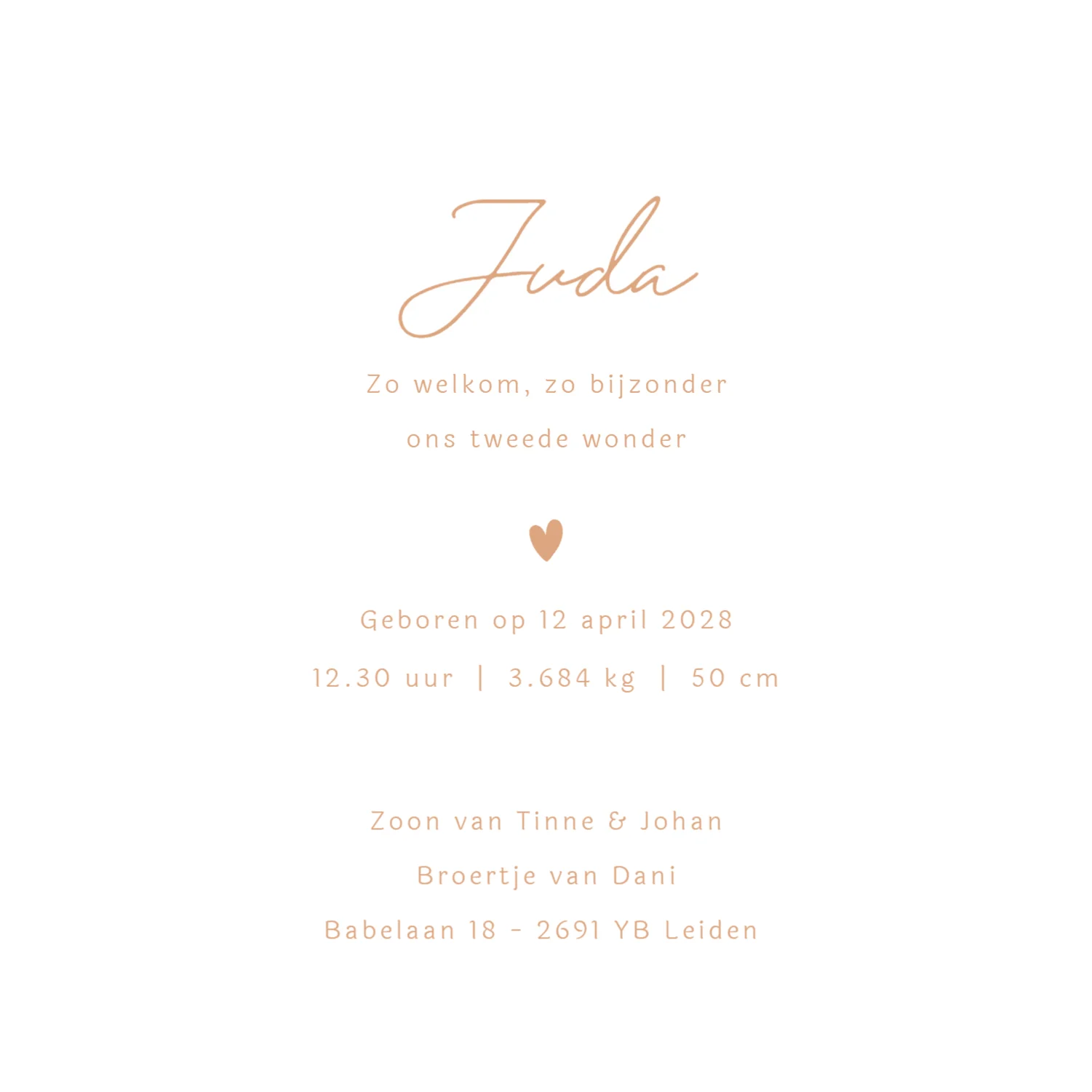 Lijntekening voor een tweede kindje - Terug