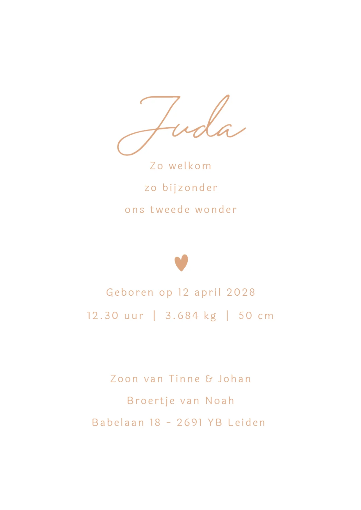 Lijntekening voor een tweede kindje - Terug