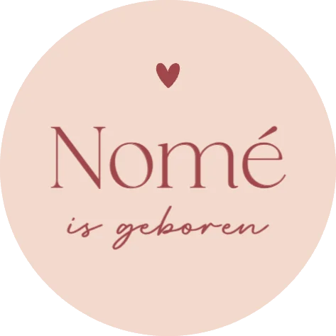 Baby met knuffelgans