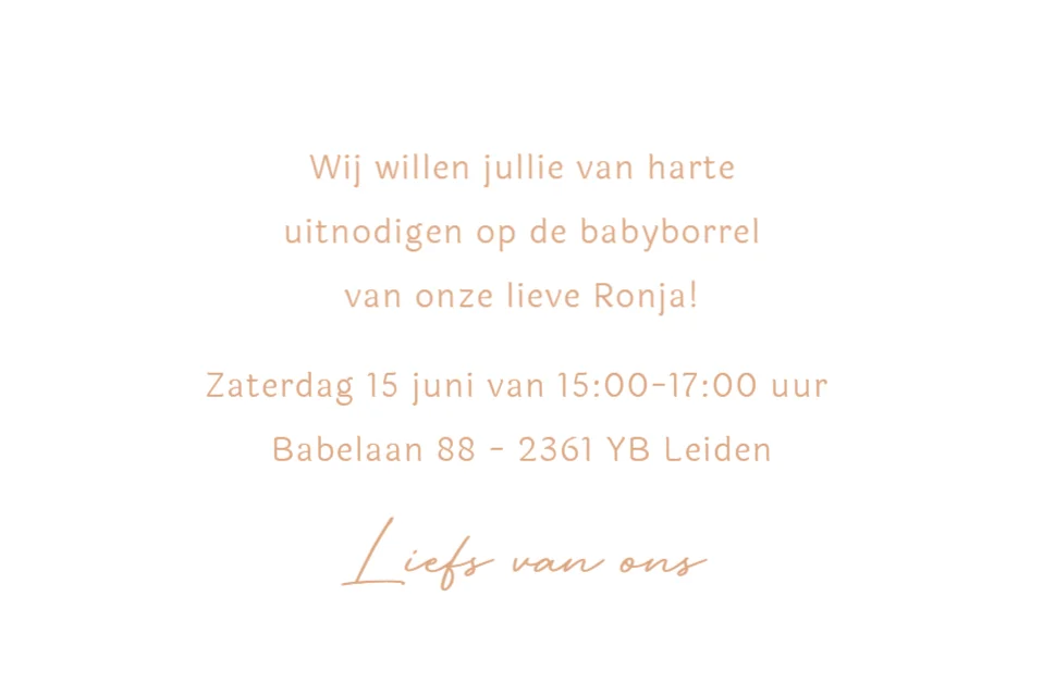 Baby met knuffelgans - Terug