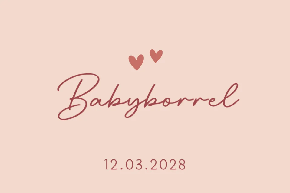 Baby met knuffelgans