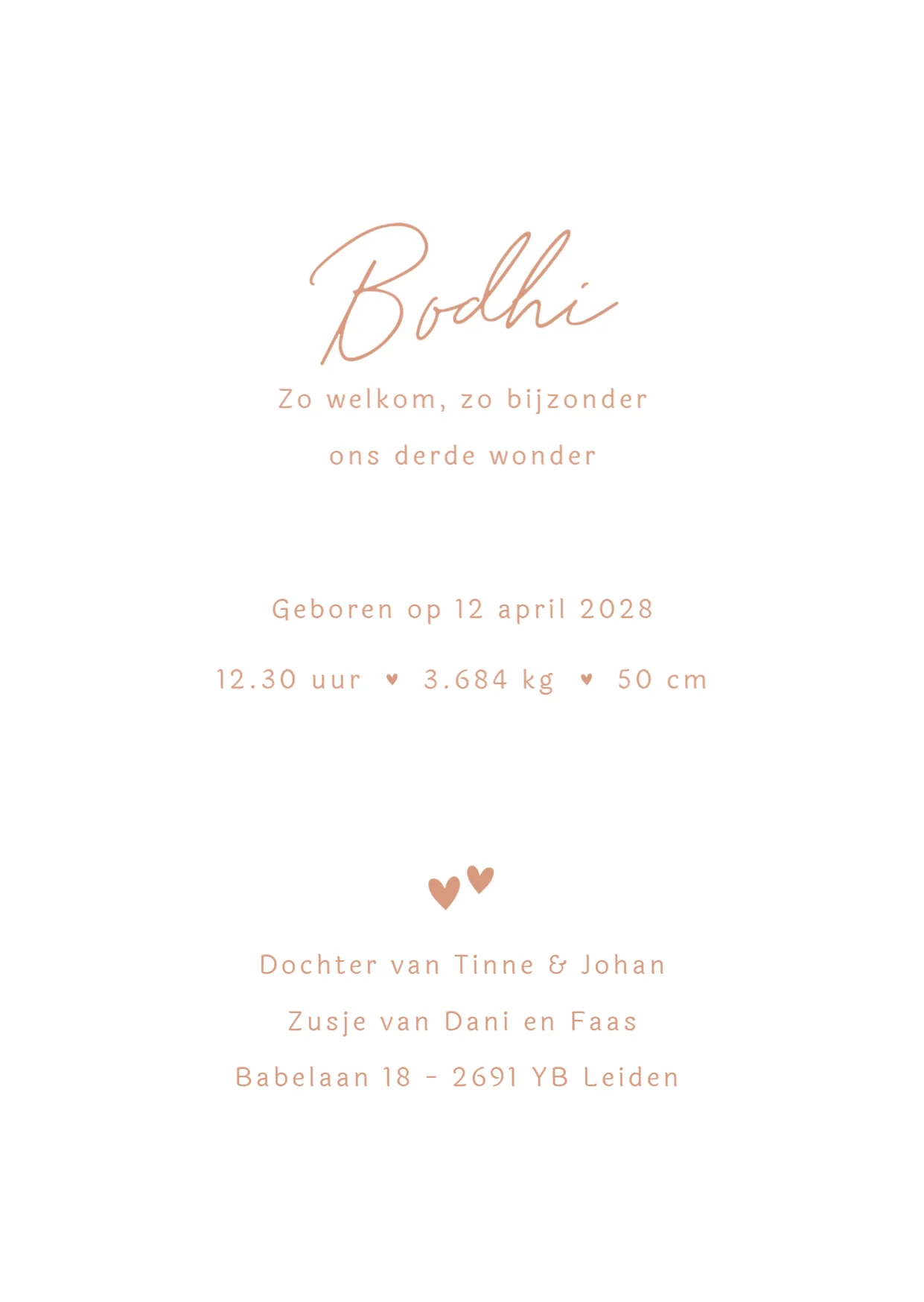 Voor een derde kindje - Terug