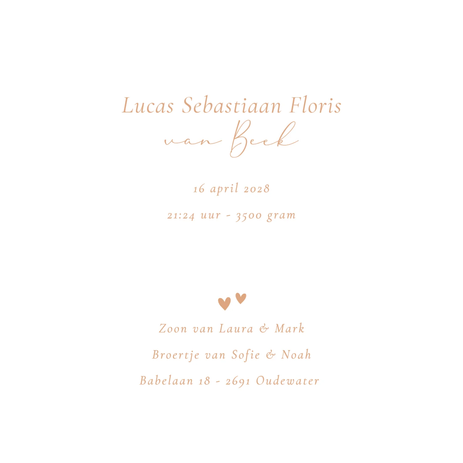 Derde kindje met grote zus en broer - Terug