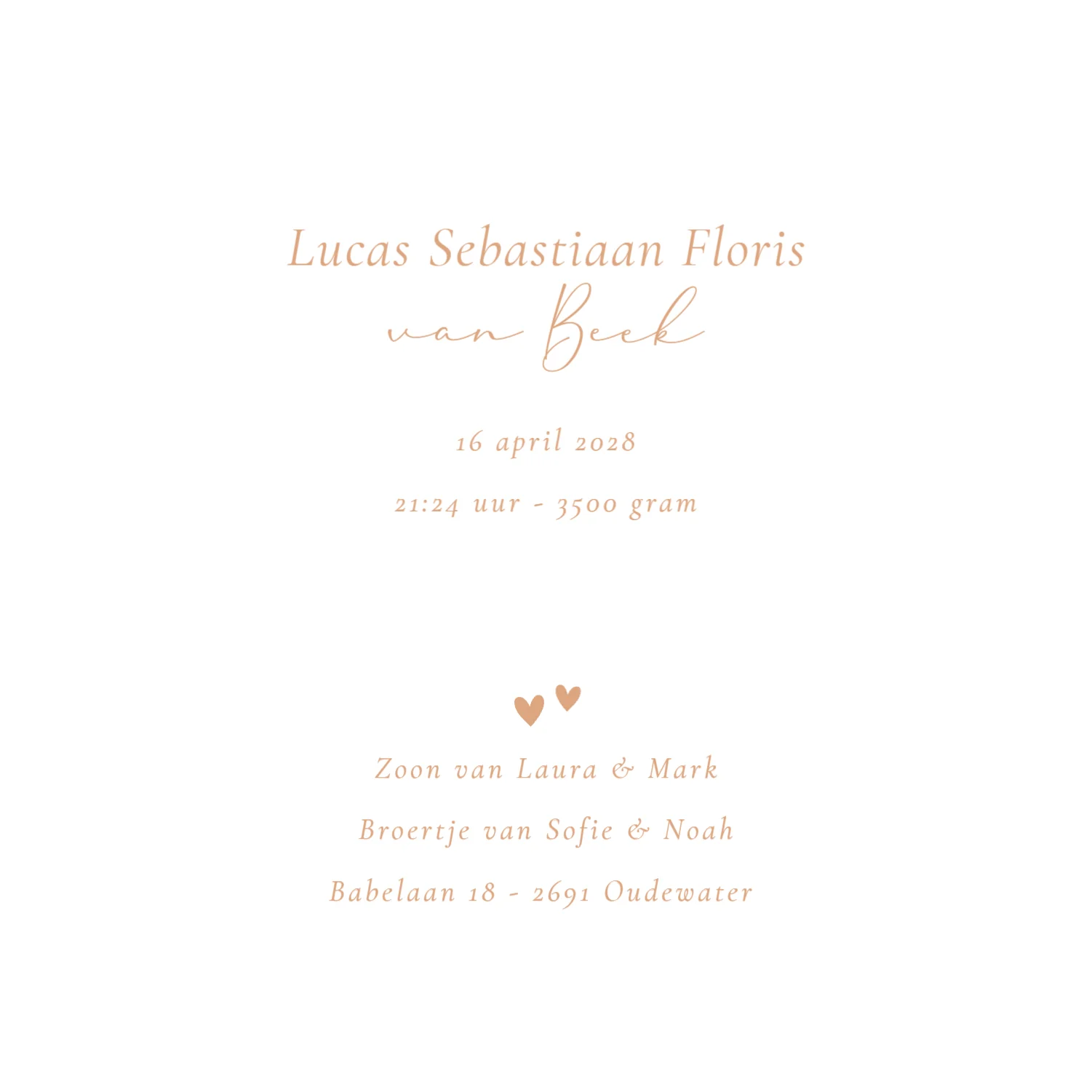 Derde kindje met grote zus en broer binnenkant