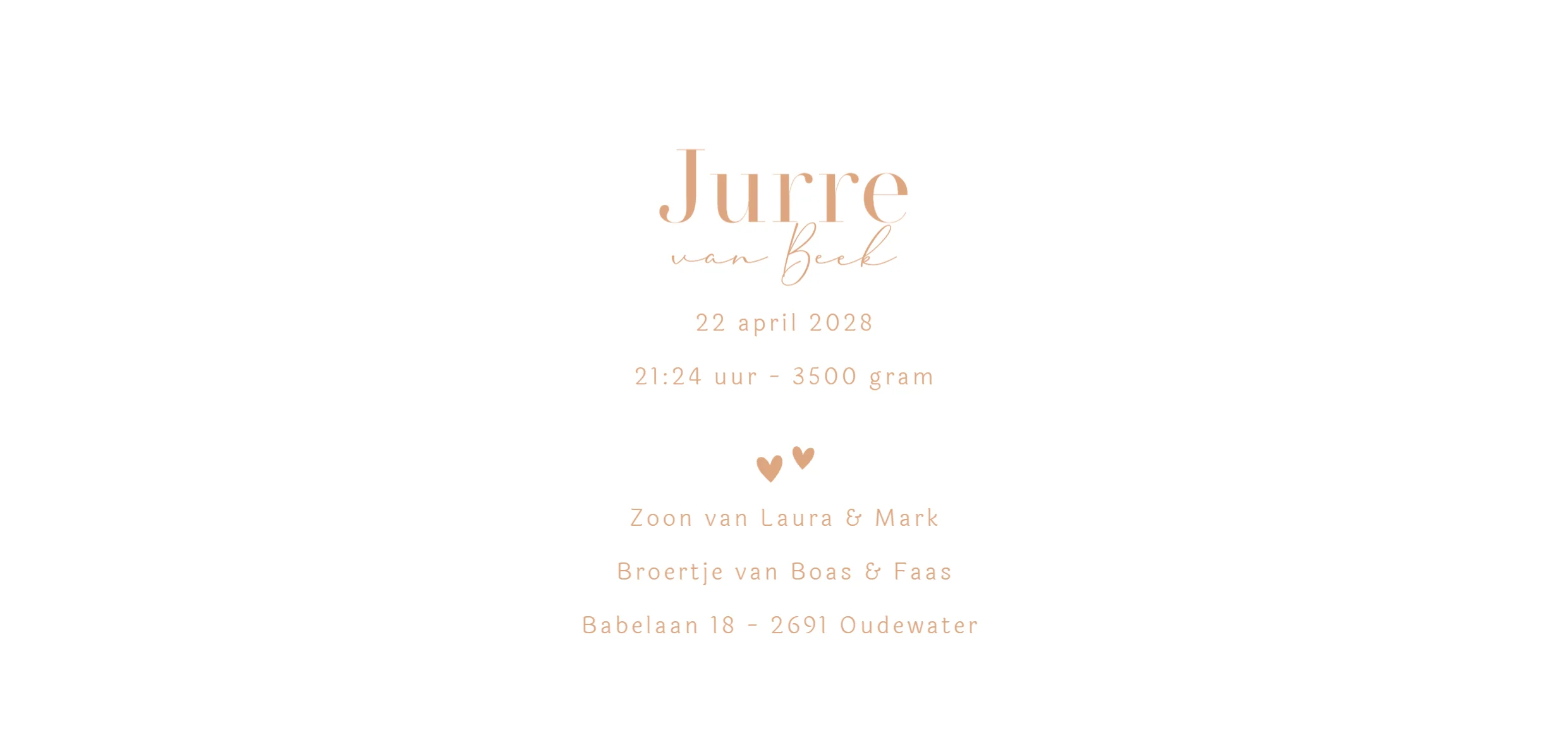 Twee broertjes met baby - Terug