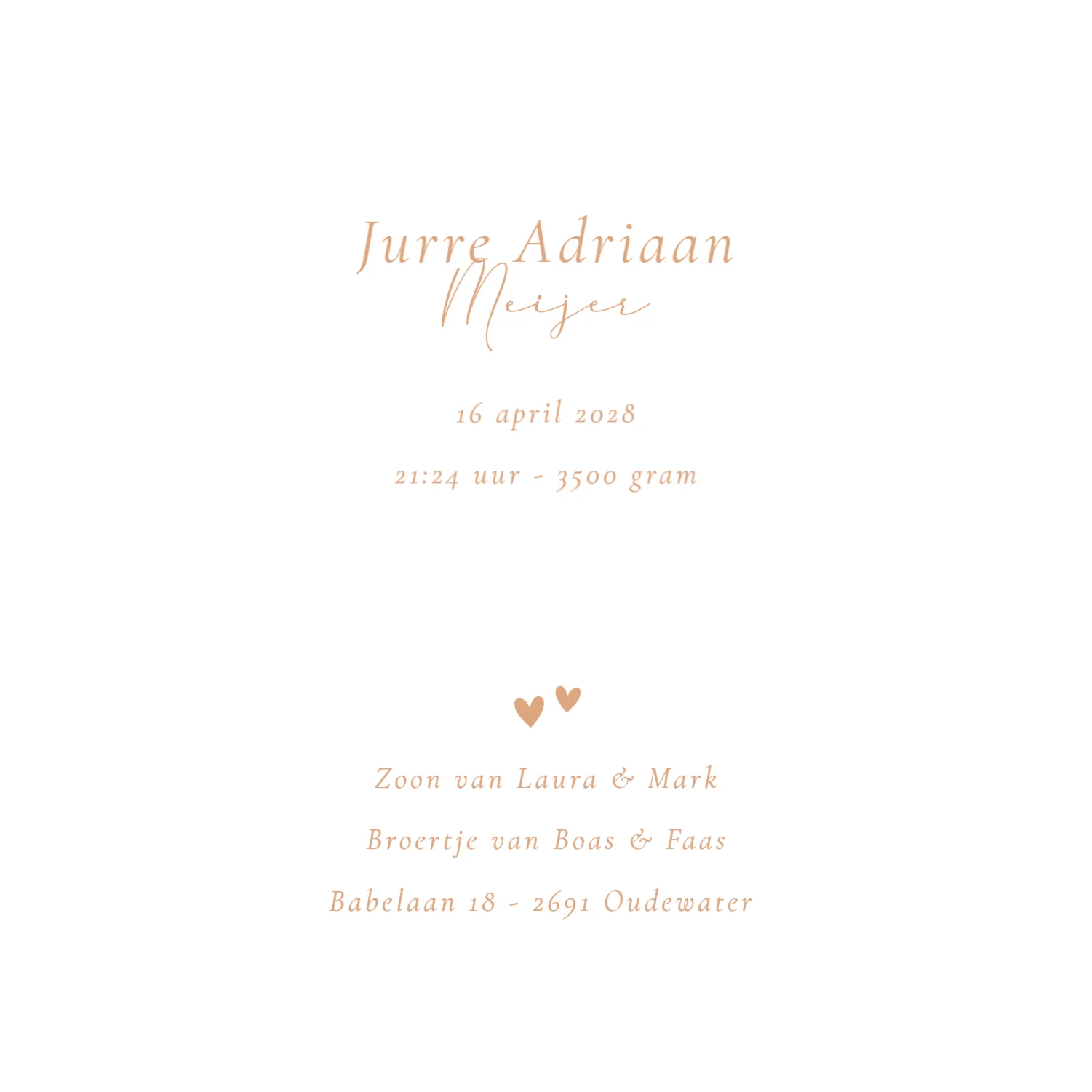 Twee broertjes met baby - Terug