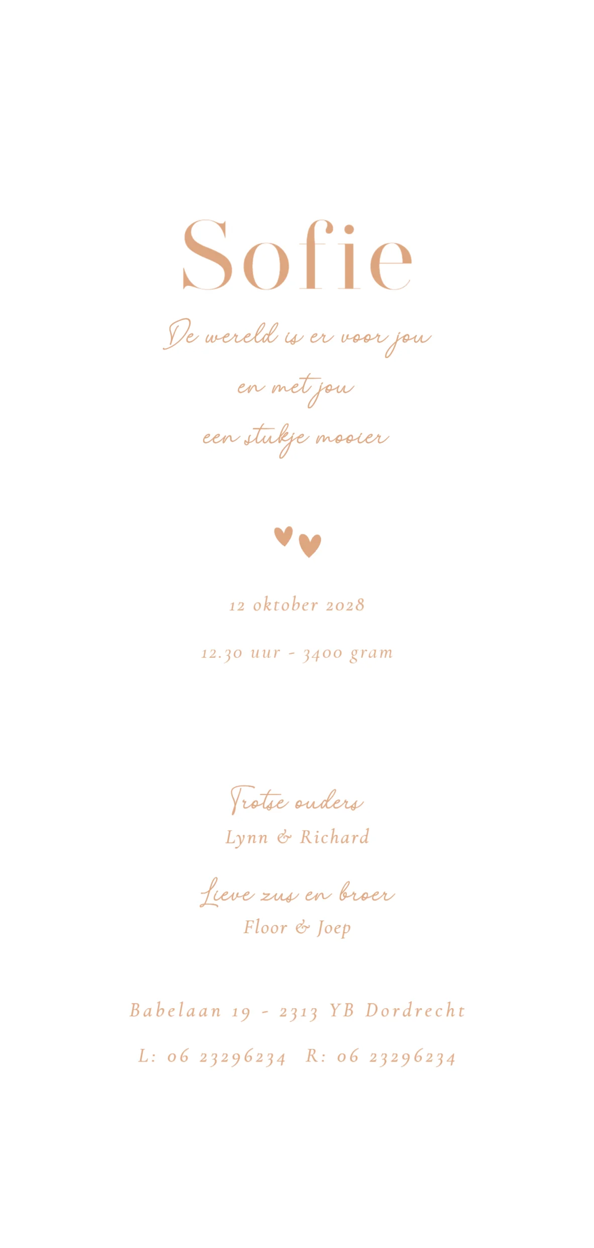 Grote zus en broer met baby - Terug