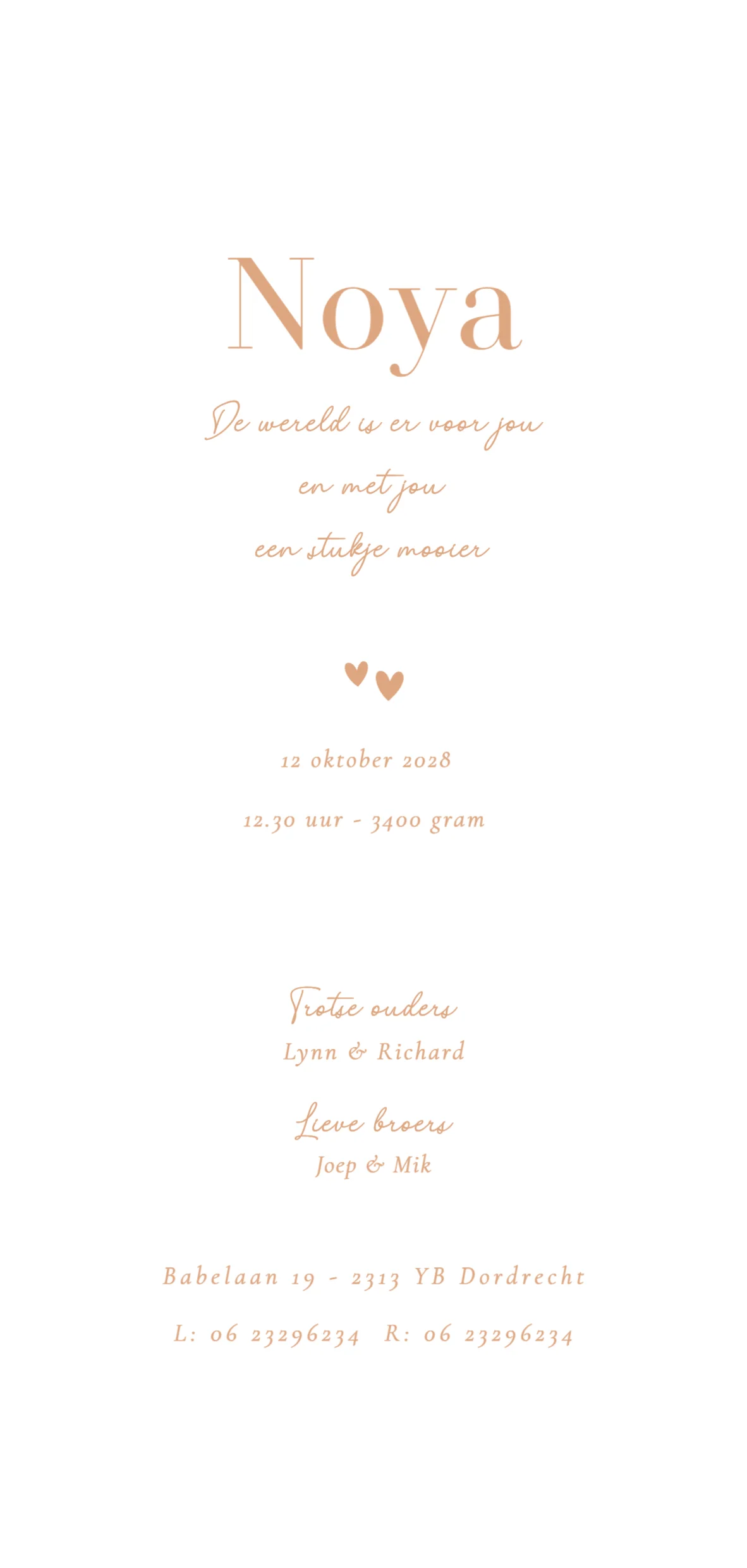 Lijntekening voor een derde kindje - Terug