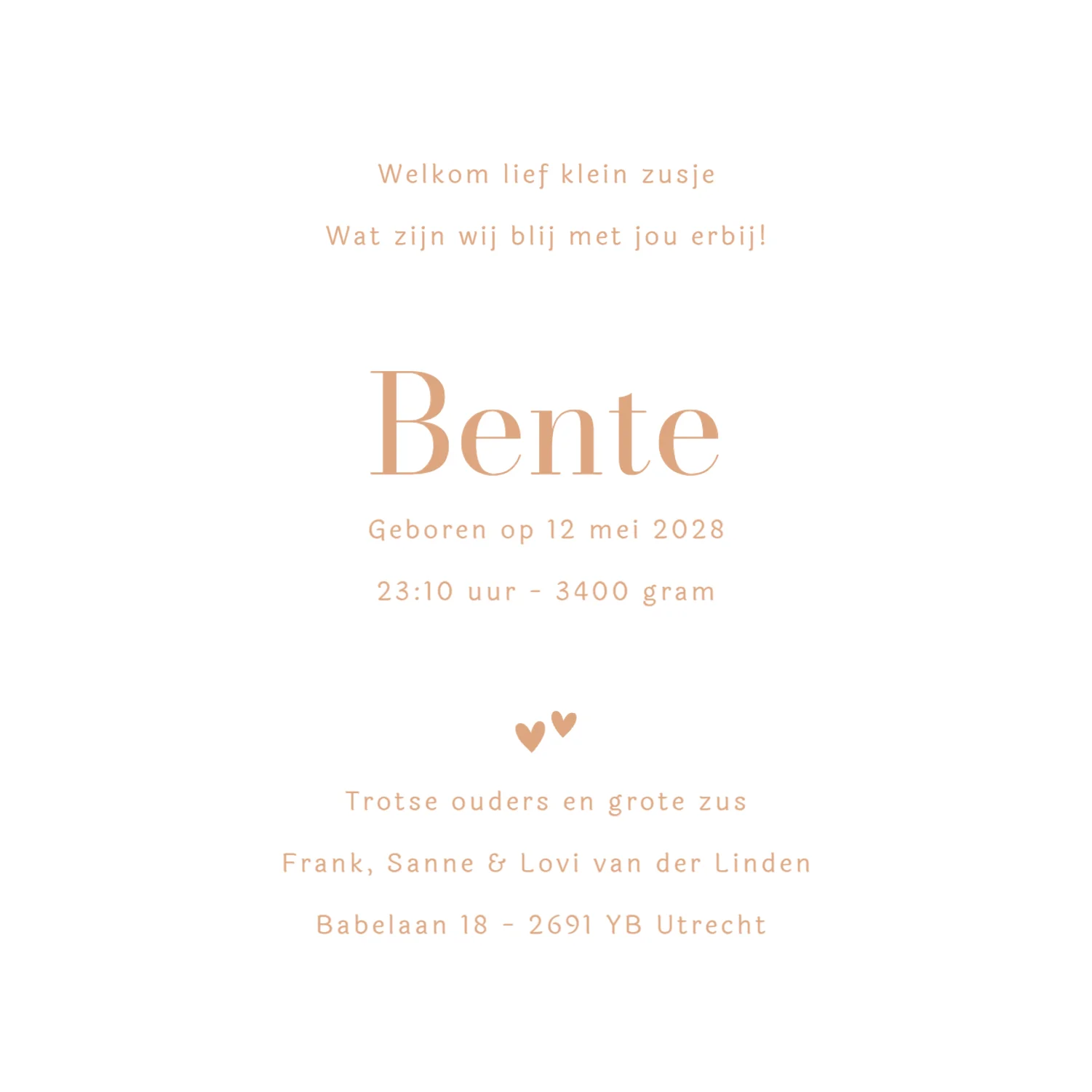 Lieve grote zus met baby - Terug