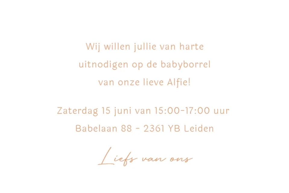 Broertje met baby - Terug