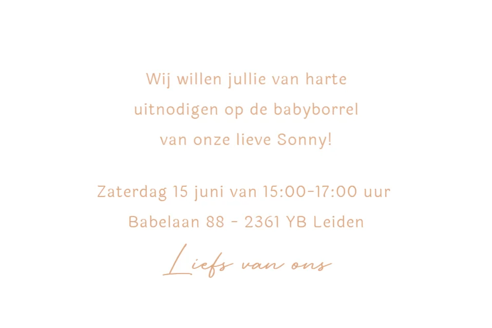 Peuter met baby - Terug