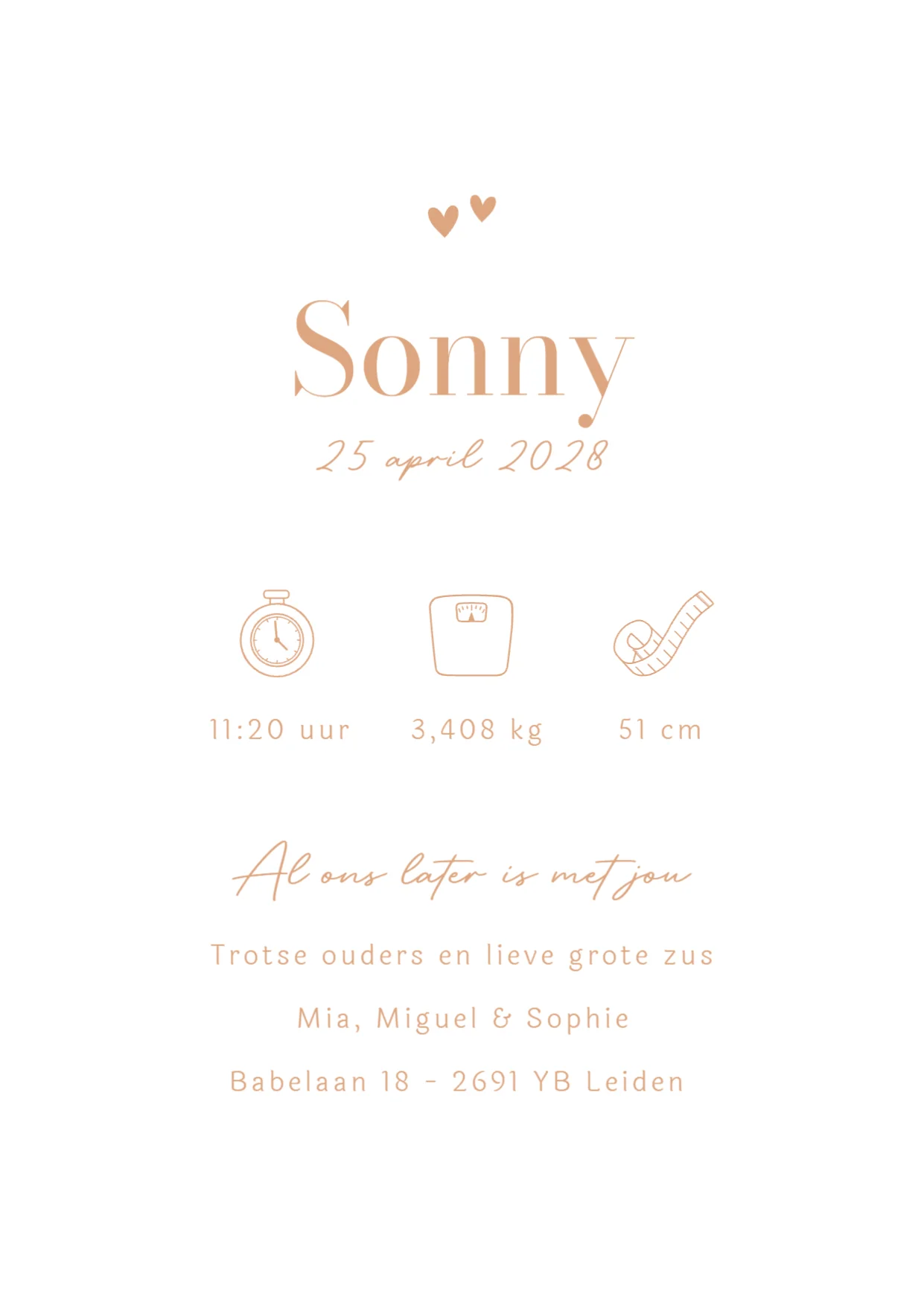 Peuter met baby - Terug