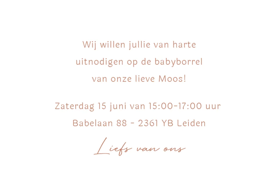 Grote zus met baby - Terug