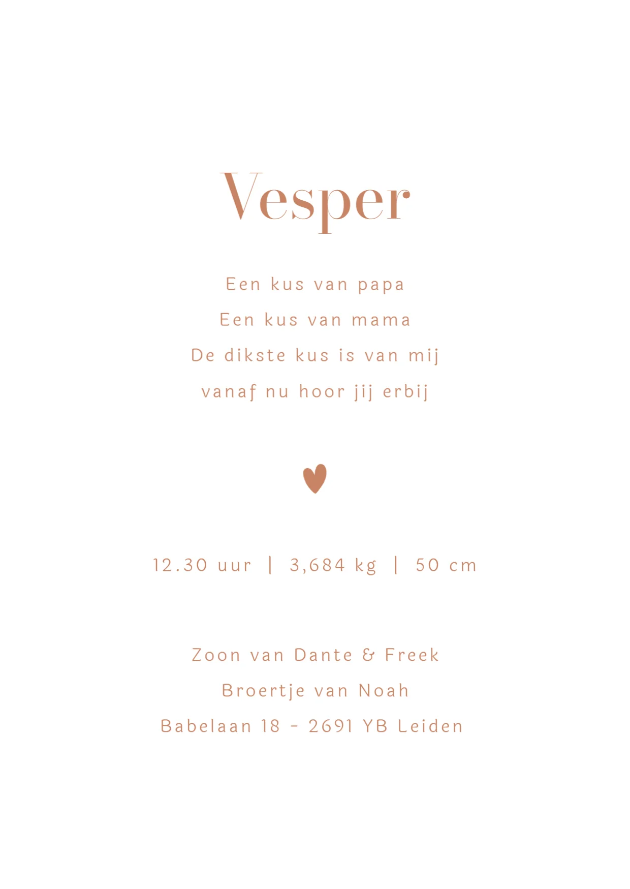 Trotse broer met baby binnenkant