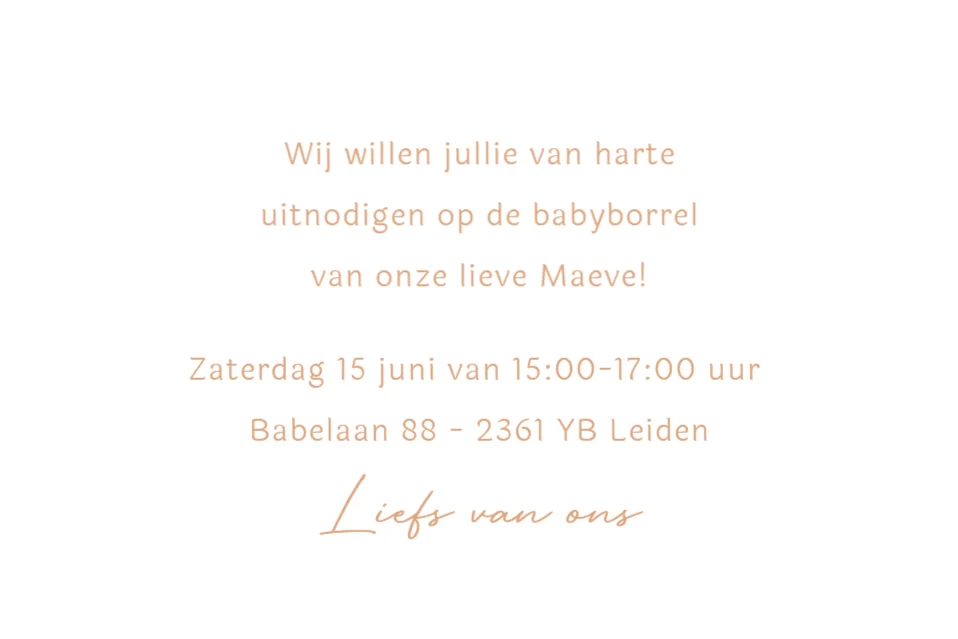 Broertje met baby - Terug