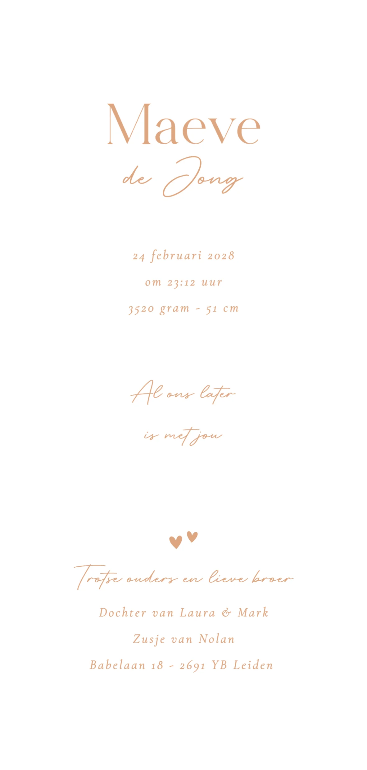 Broertje met baby - Terug