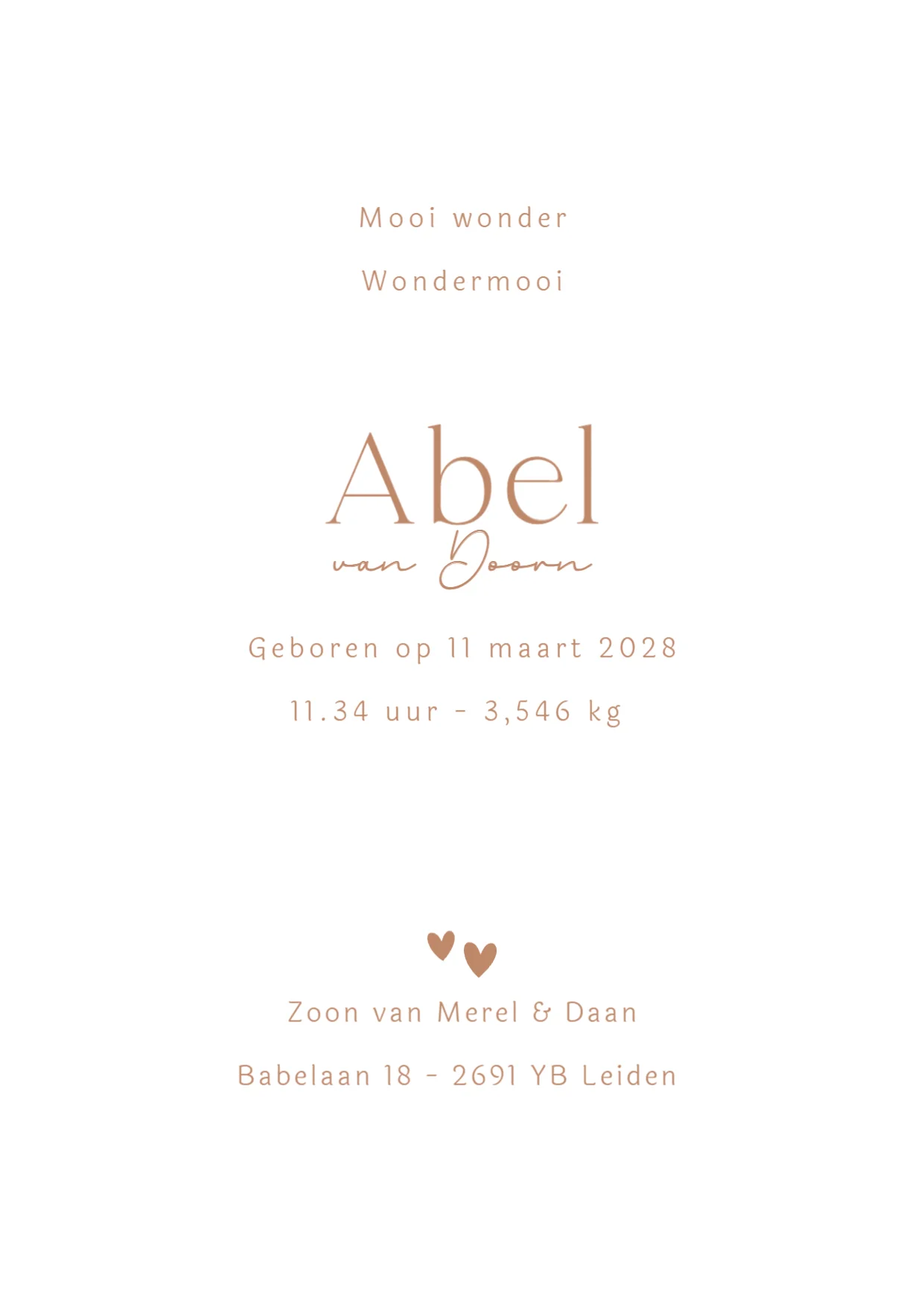 Kindje met hond - Terug