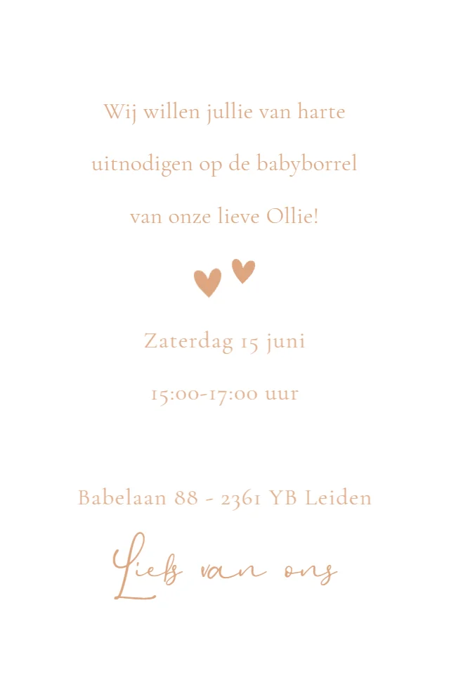 Grote broer met baby - Terug