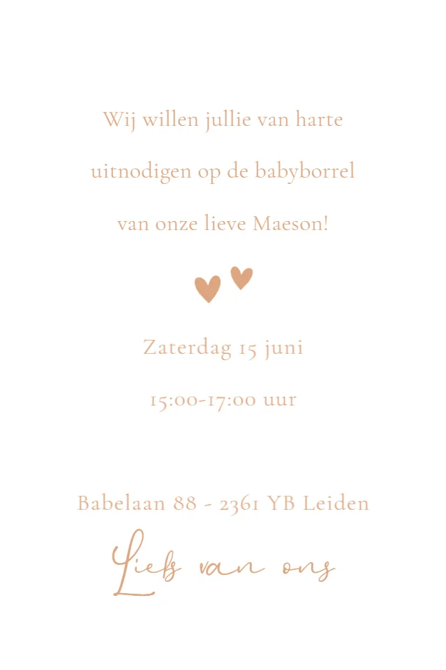 Peuter met baby - Terug