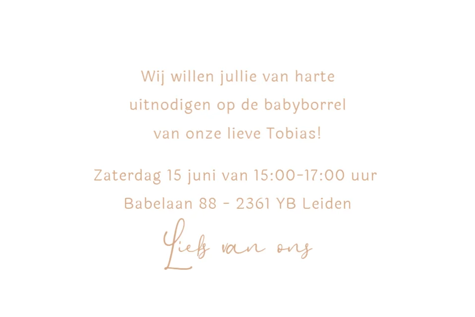 Grote broer met baby - Terug