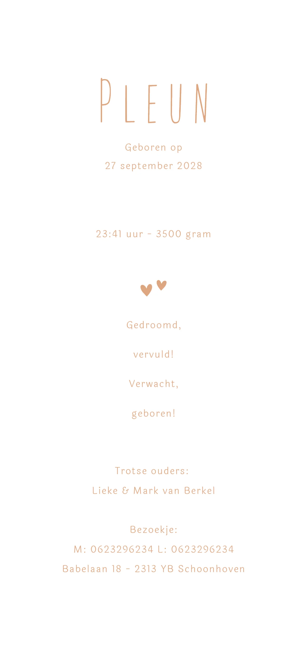 Lijntekening eerste kindje - Terug