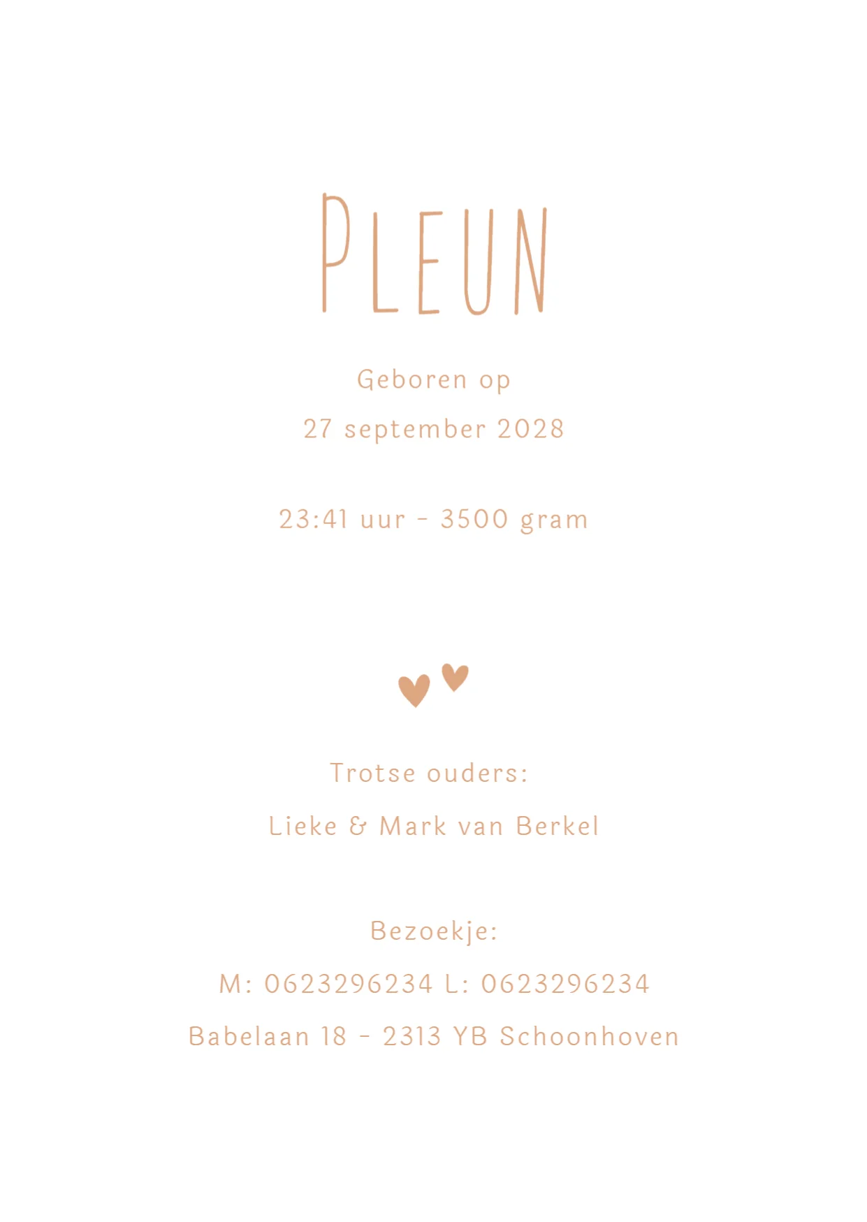 Lijntekening eerste kindje - Terug