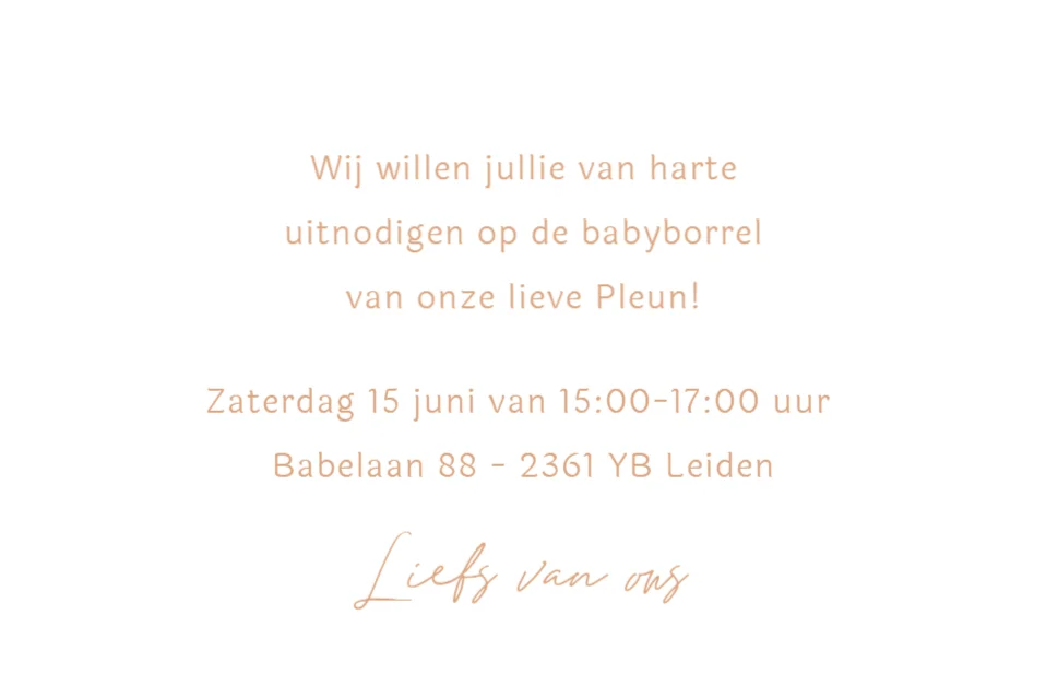 Lijntekening - Terug