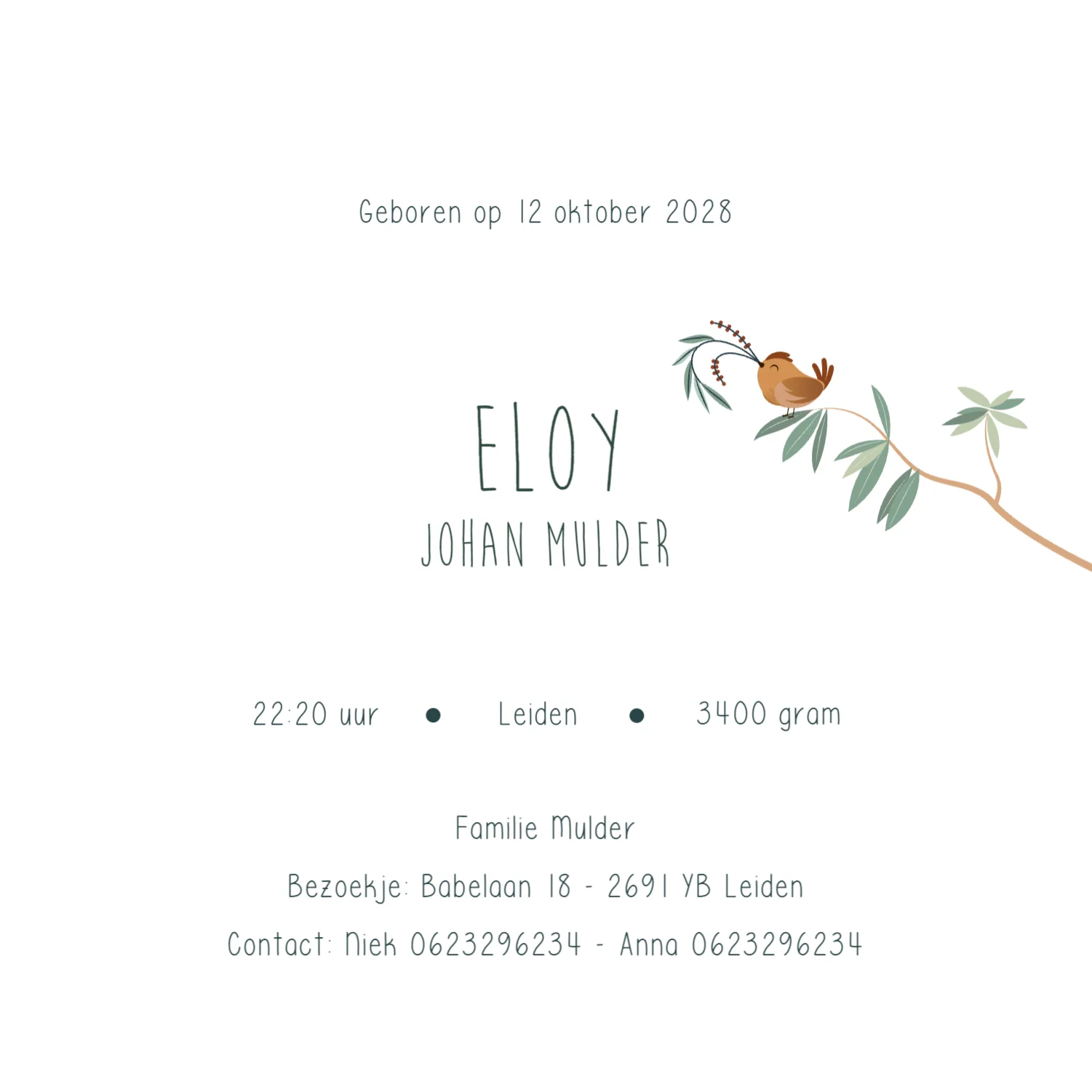 Vosje met vogels - Terug