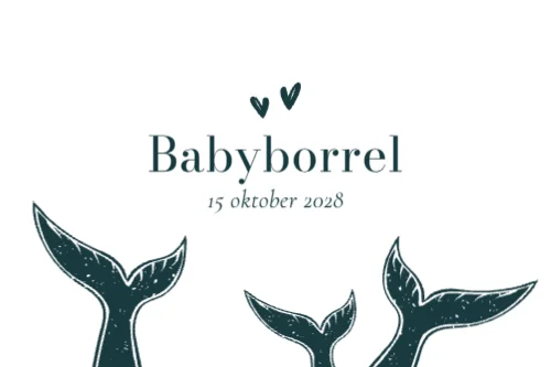 Babyborrelkaart