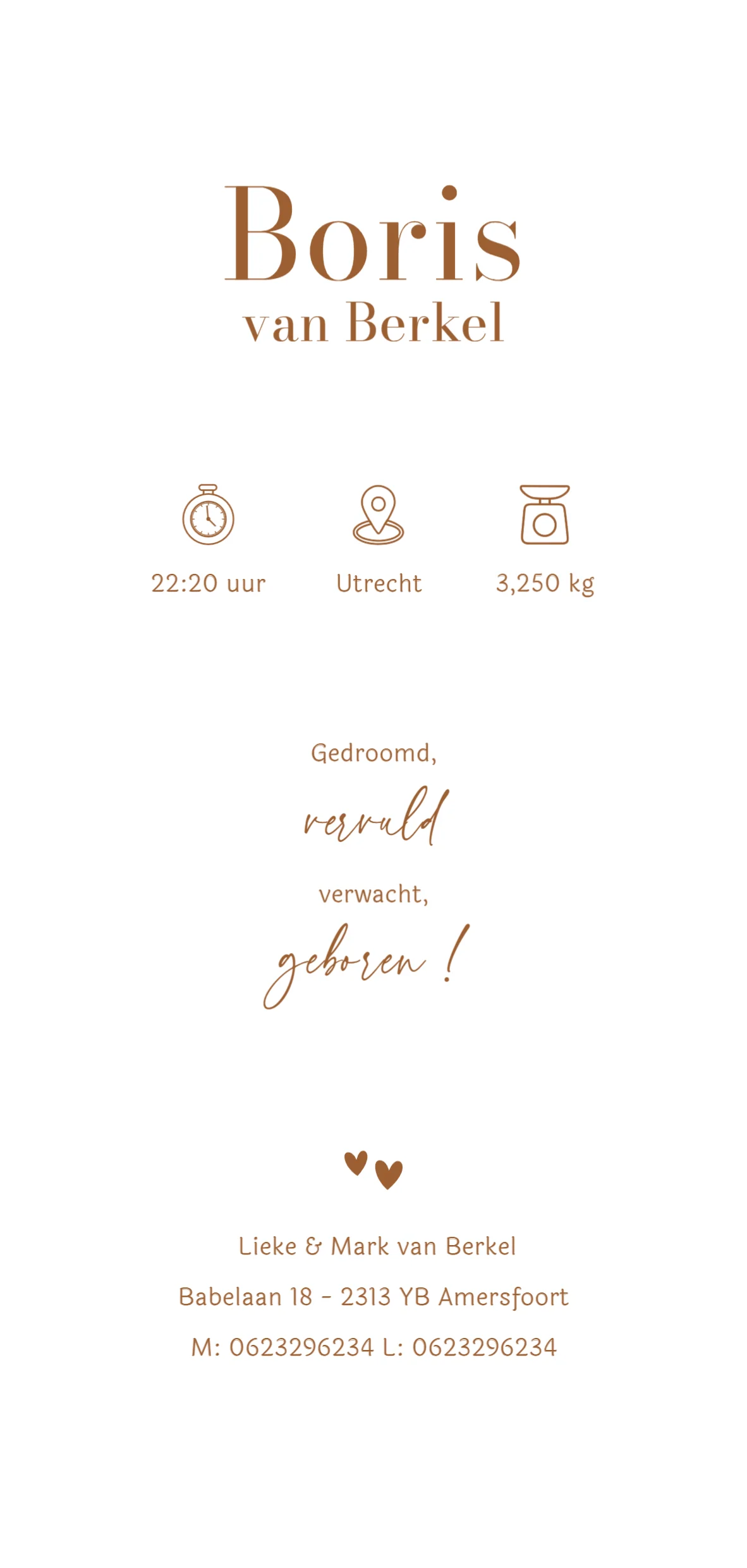 Tijgertjes Patroon - Terug