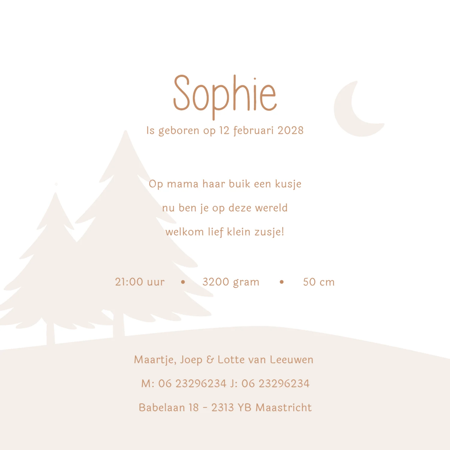 Winters silhouet - Terug